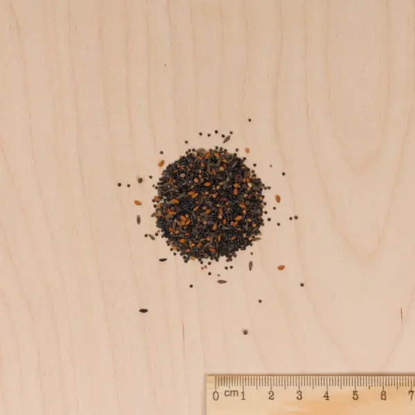 Potagères - Mesclun Crétois en mélange - MEDIA_3D